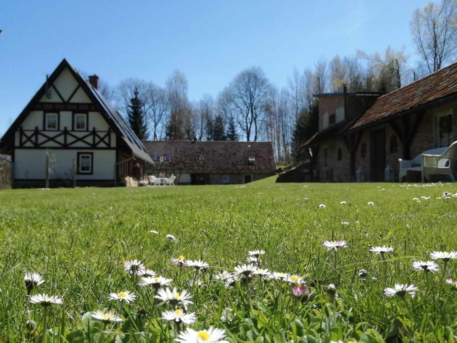 Apartament Taszowka - Oborka , Zapole *