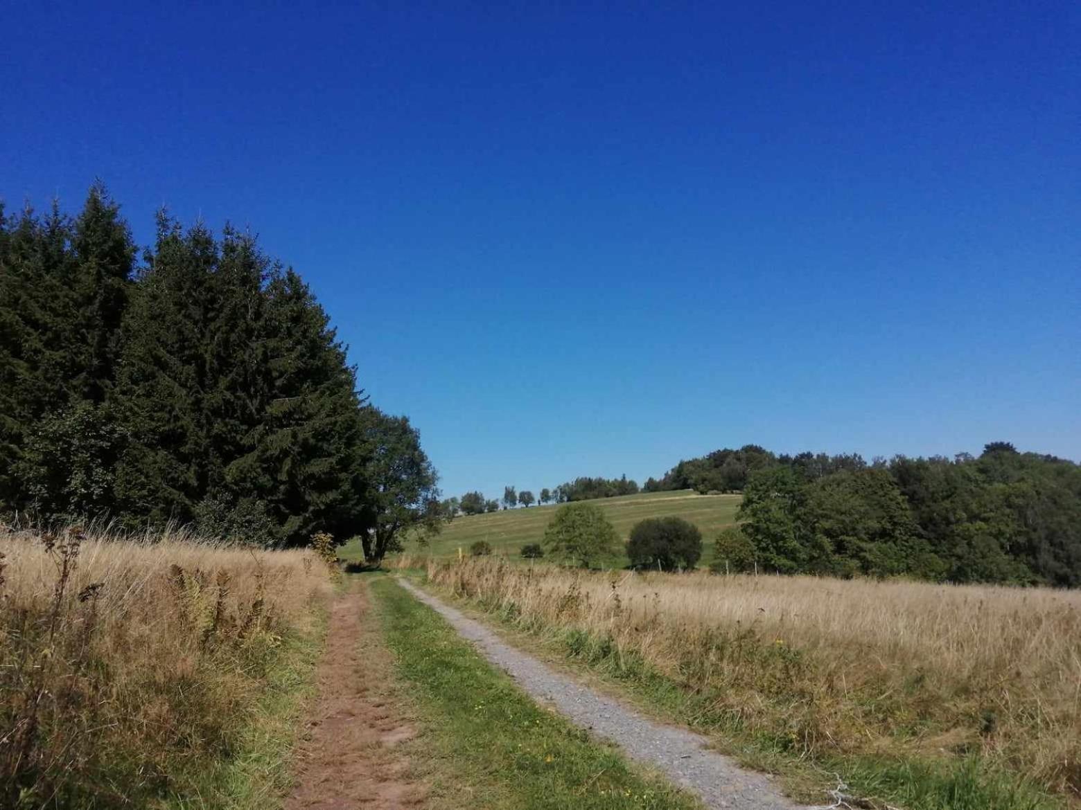 Taszowka - Oborka , Zapole *