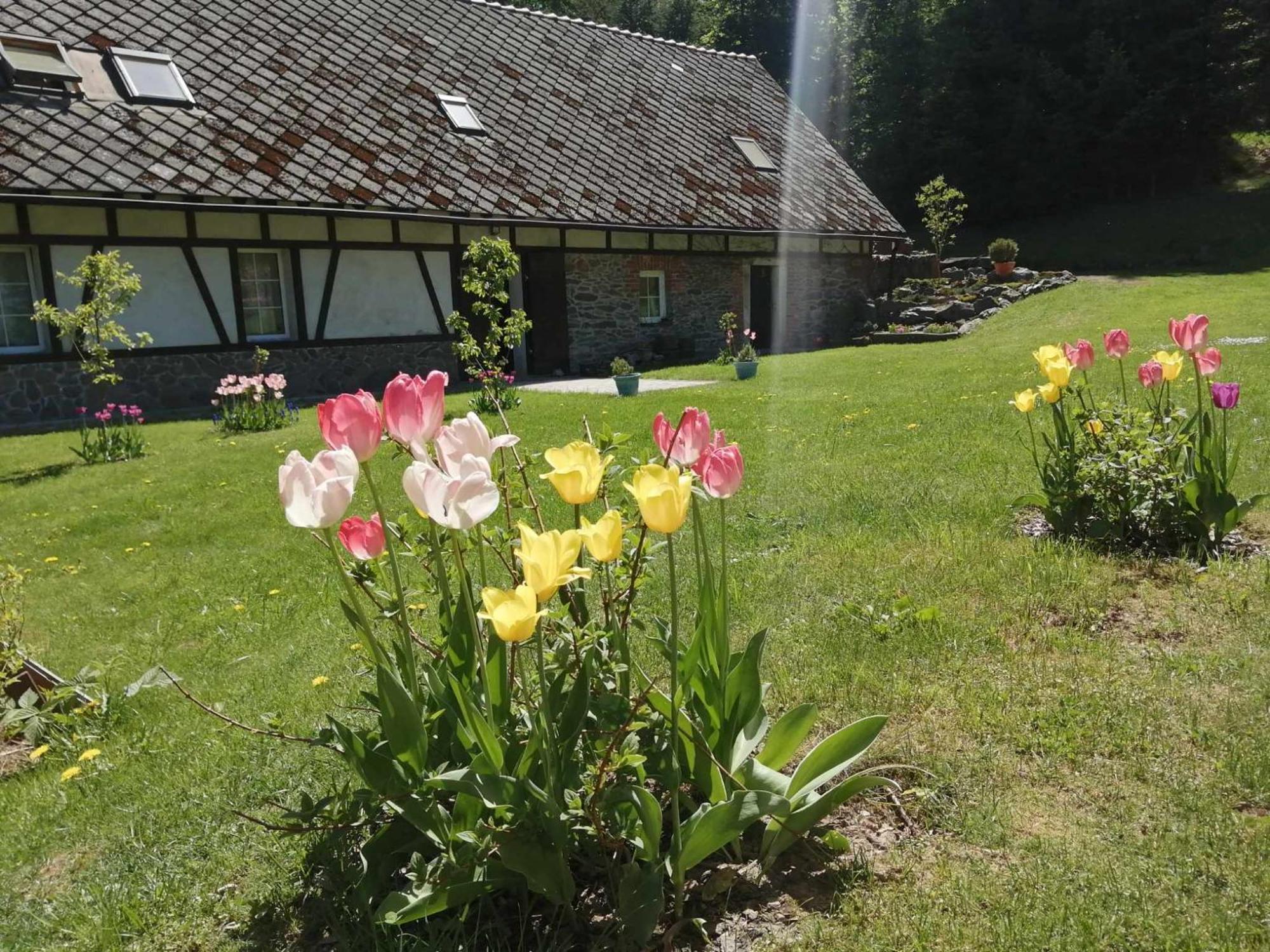Taszowka - Oborka , Zapole * Taszow